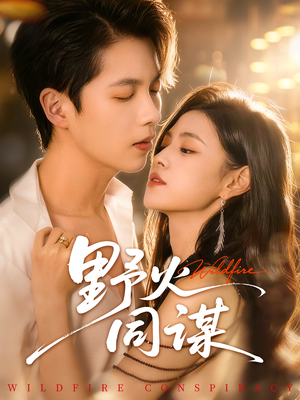 野火同谋（66集）好看到停不下来