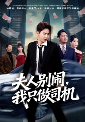 夫人别闹我只做司机（80集）热门火爆短剧