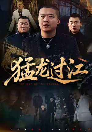 猛龙过江（60集）真的太好看了