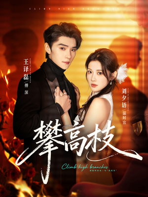 攀高枝（70集）剧好看短剧推荐