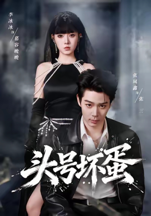 头号坏蛋（58集）全集都在这里了