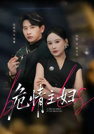 危情主妇（60集）口碑之选免费看