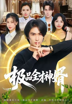 极品全才神婿（67集）迅雷网盘观看