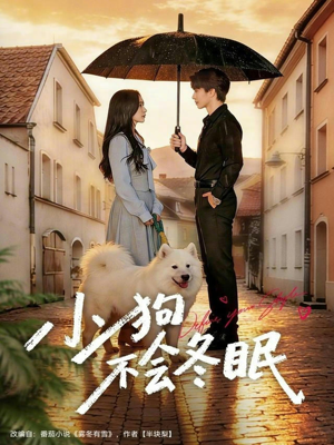 小狗不会冬眠（70集）短剧看全集