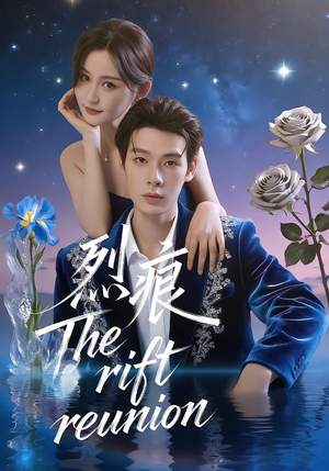 烈痕（35集）直接看到大结局