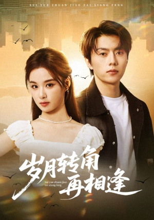 岁月转角再相逢（80集）直接追到结尾