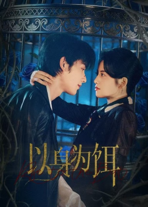 以身为饵（61集）短剧精彩绝伦