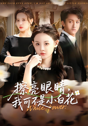 擦亮眼睛，我可不是小白花（60集）视频在线看