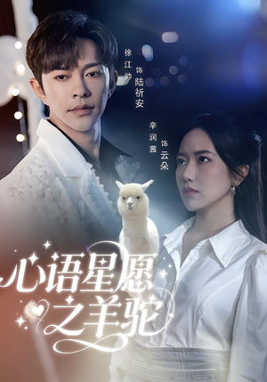 心语星愿之羊驼（60集）短剧有好货推荐