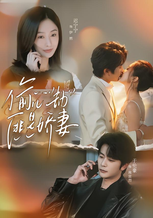 偷心劫匪是娇妻（61集）精彩不断免费看