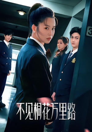 不见桐花万里路（71集）短剧在哪个平台