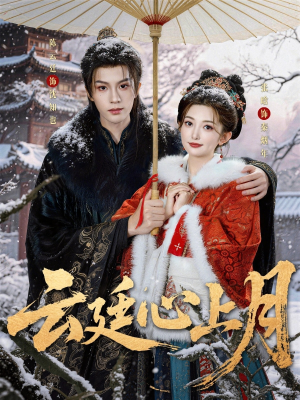 云廷心上月（80集）80到100集