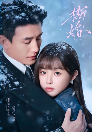 撕婚（23集）热门短剧推荐。