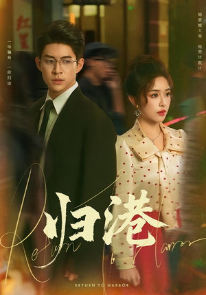 归港（63集）经典老剧免费看