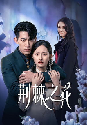 荆棘之花（100集）古装短剧热播
