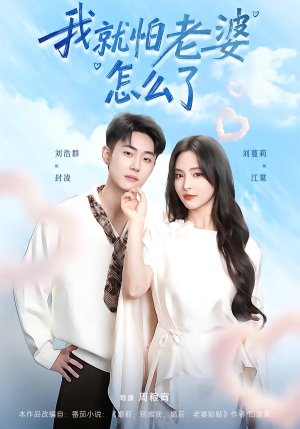 我就怕老婆怎么了（88集）河马免费短剧