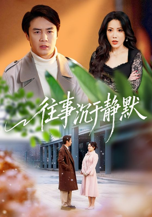 往事沉于静默（70集）热门短剧分享