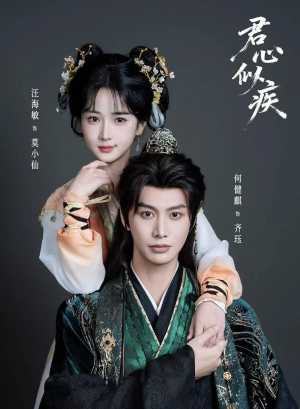 君心似疾（80集）好看的短剧