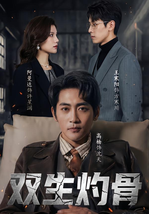 双生灼骨（60集）短剧热门合集
