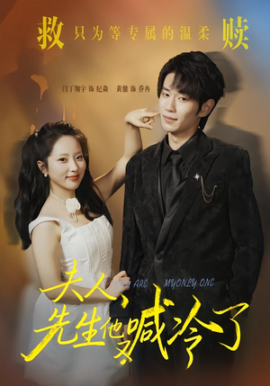 夫人，先生他又喊冷了（60集）剧情简介