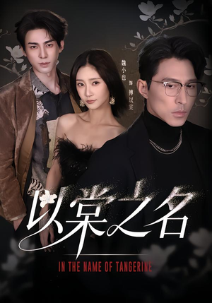 以棠之名（66集）迅雷网盘观看