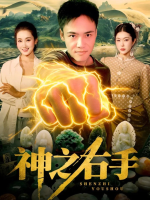 神之右手（100集）热播短剧推荐