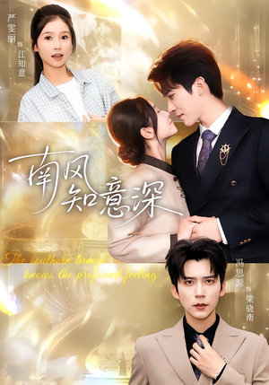 南风知意深（40集）更新时间