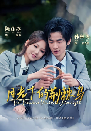 月光下的荆棘鸟(80集) 月光下的荆棘鸟(80集)不用花钱看全剧