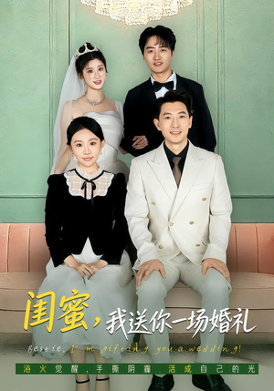 闺蜜，我送你一场婚礼（80集）360网盘观看