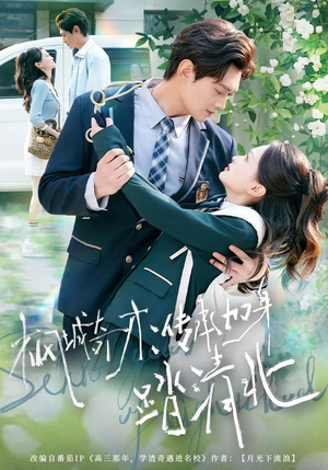 枫城奇才：传承加身踏清北（80集）短剧热门合集