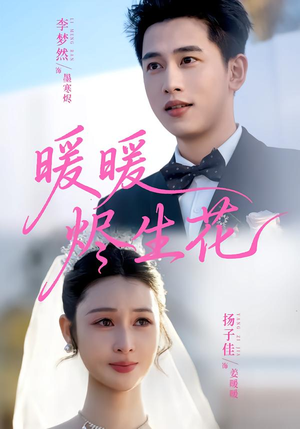 暖暖烬生花（65集）免费短剧看全集