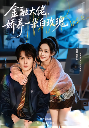 金融大佬，娇养一朵白玫瑰（70集）精彩短剧合集