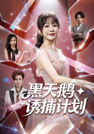 黑天鹅诱捕计划（81集）在线看到大结局