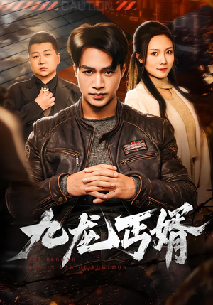 九龙丐婿(81集) 九龙丐婿(81集)免费观看完整版