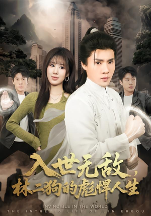 入世无敌，林二狗的彪悍人生（70集）百度网盘资源