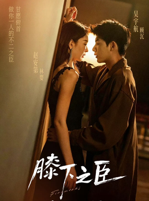 膝下之臣（56集）短剧在线观看