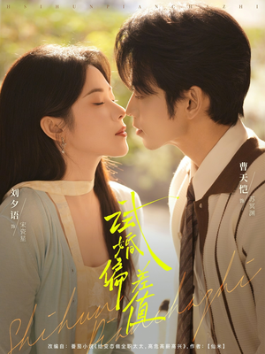 试婚偏差值（66集）视频在线看