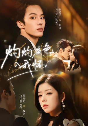 灼灼夜色入我怀（60集）推荐热门短剧