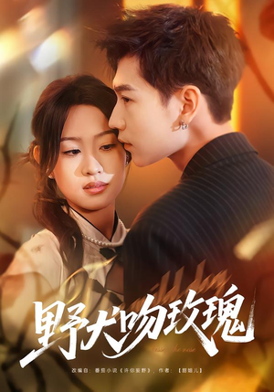 野犬吻玫瑰(70集) 野犬吻玫瑰(70集)短剧太好看