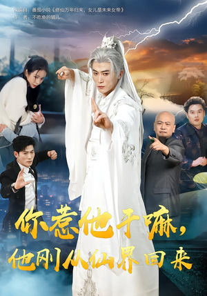 你惹他干嘛，他刚从仙界回来（80集）短剧全集完整
