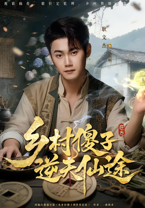 乡村傻子逆天仙途（80集）全集一网打尽