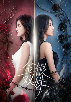 金银双姝（80集）精彩短剧看全集