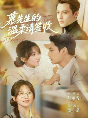 慕先生的温柔请签收（90集）最新热门短剧