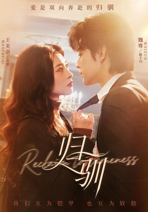 归驯（82集）热门短剧看不停