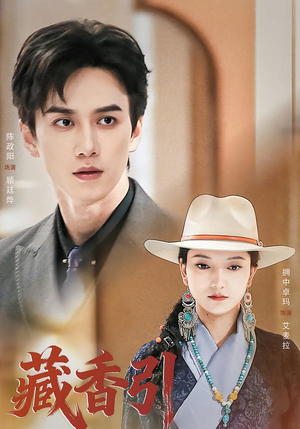 藏香引（63集）短剧完整版免费