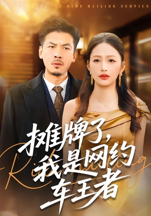 摊牌了，我是网约车王者（75集）百度网盘资源