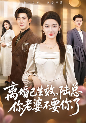 离婚已生效，陆总你老婆不要你了（61集）免费短剧合集