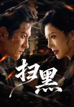 扫黑(70集) 扫黑(70集)红果免费短剧