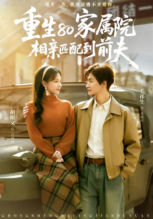 重生80家属院，相亲匹配到前夫（77集）全集免费观看