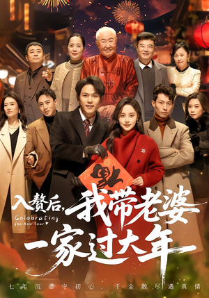 入赘后，我带老婆一家过大年（60集）大结局
